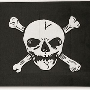 Pirates black flag with skull