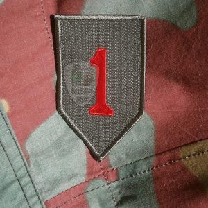 1st Infantry Division