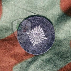 Oberschutze Luftwaffe