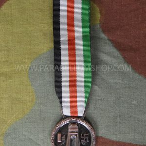 German-Italian Africa Campaign medal
