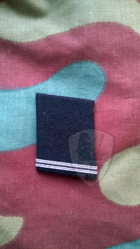 Waffen SS collar tabs troops and graded