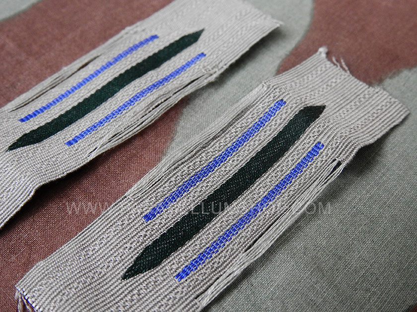 WW2 German BEVo collar insignia -transportation-