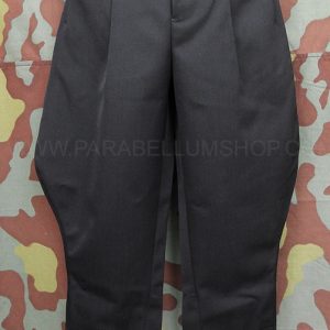 Allgemeine-SS officer riding pants