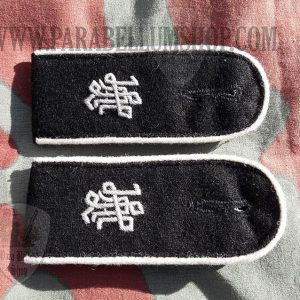 Infantry 1st SS Panzer Division Leibstandarte SS Adolf Hitler