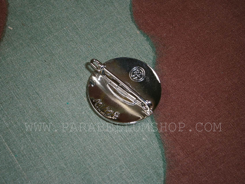 NSDAP pin