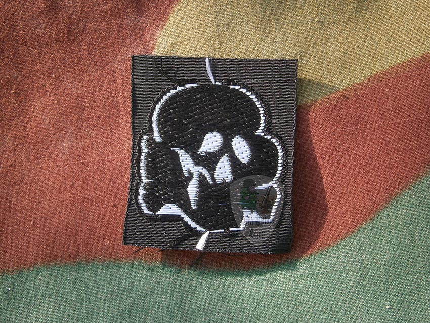 Waffen SS Skull in BEVo, HIGH QUALITY